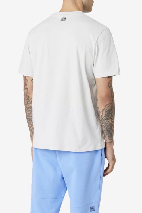 Fila Ceylon Tee Miesten T Paidat Harmaat | Fila639DP