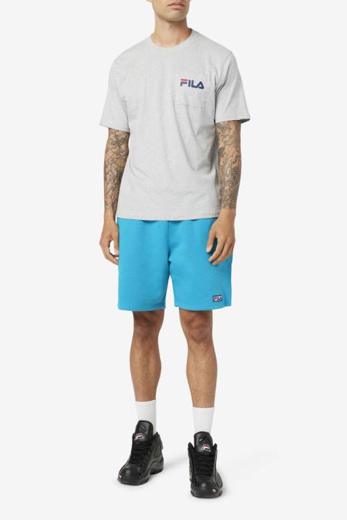 Fila Curtis Pocket Tee Miesten T Paidat Vaaleanharmaat | Fila726RK
