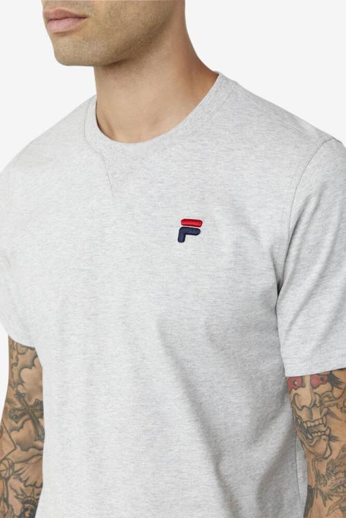 Fila Derion Tee Miesten T Paidat Vaaleanharmaat | Fila401RM