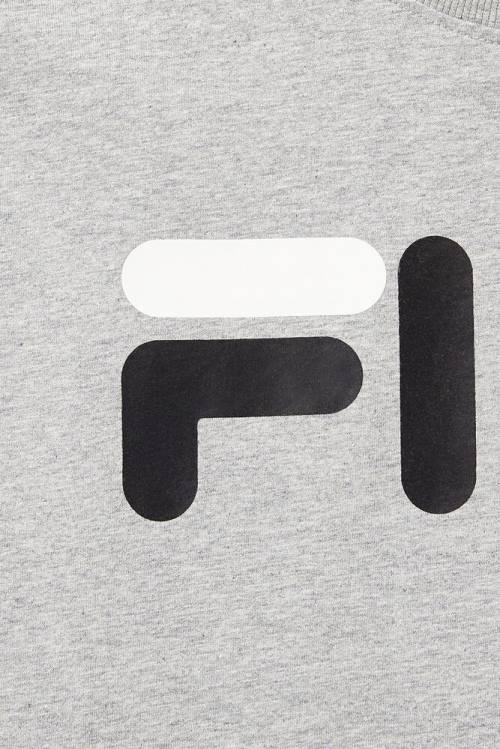 Fila Eagle Tee Miesten T Paidat Harmaat | Fila918GH