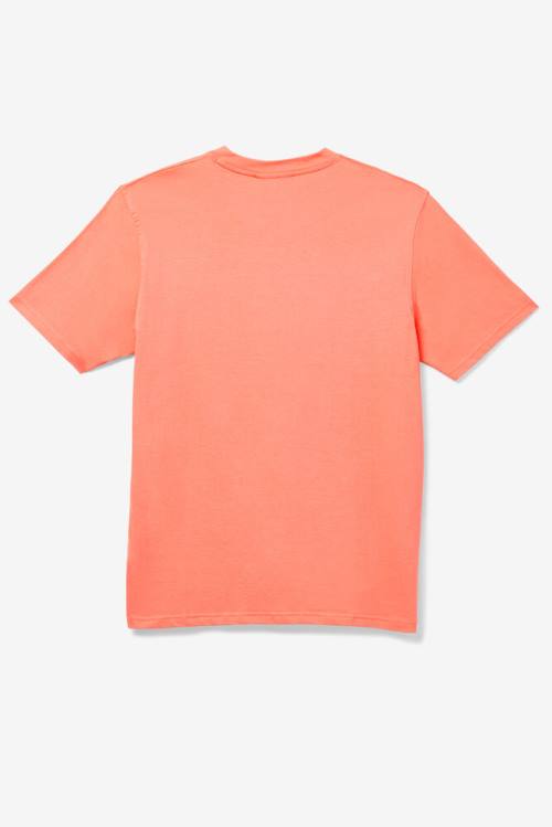 Fila Eagle Tee Miesten T Paidat Oranssi | Fila581QO