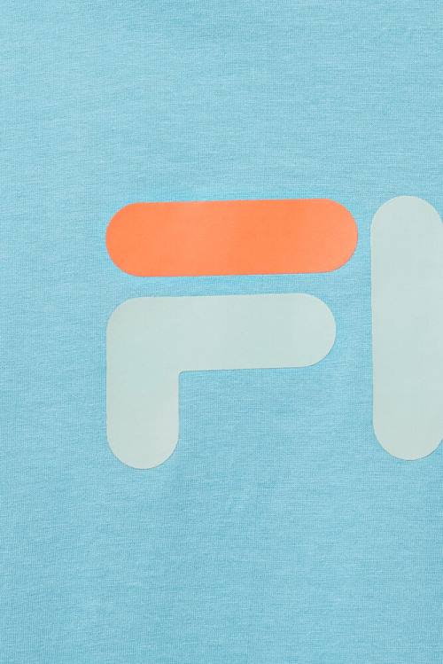 Fila Eagle Tee Miesten T Paidat Sininen | Fila027GB