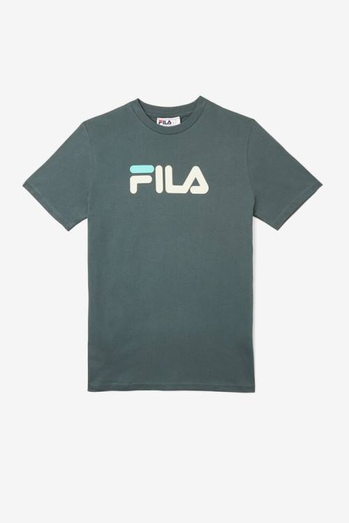 Fila Eagle Tee Naisten T Paidat Sininen | Fila263XM