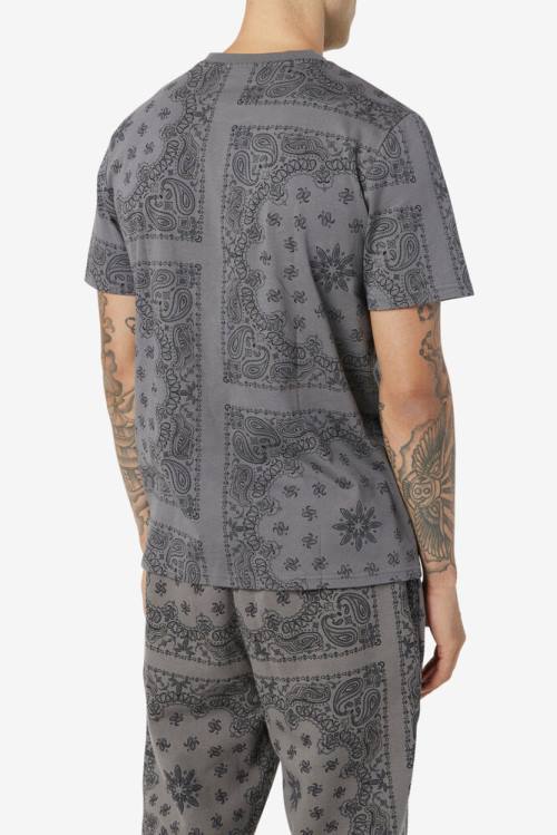 Fila Kensico Tee Miesten T Paidat Harmaat | Fila798EQ