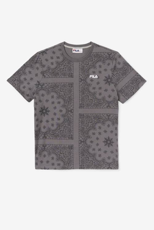 Fila Kensico Tee Miesten T Paidat Harmaat | Fila798EQ