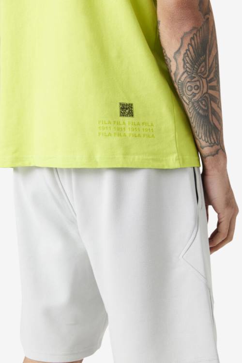Fila Lakosa Tee Miesten T Paidat Vaaleanvihreä | Fila538ZL