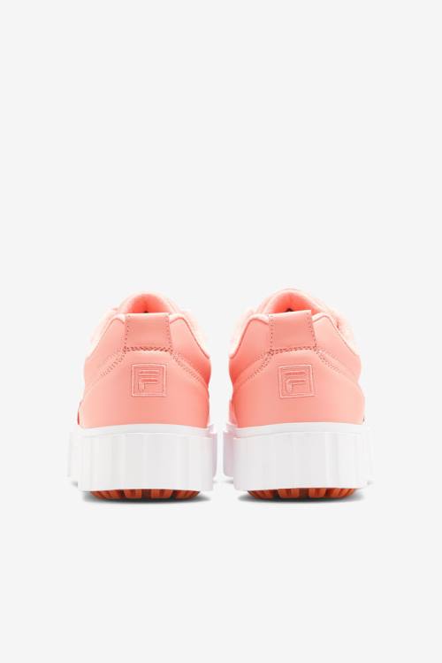Fila Sandblast Low Naisten Tennarit Aprikoosi Pinkki Valkoinen | Fila986WJ