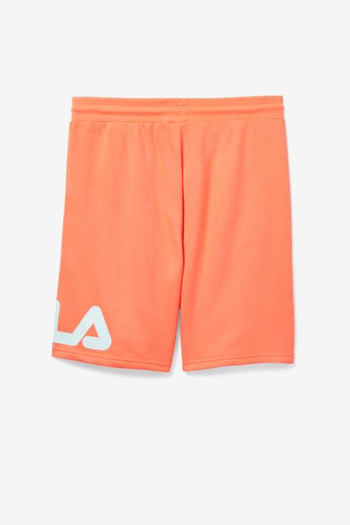 Fila Zeshawn Miesten Shortsit Oranssi | Fila548OJ