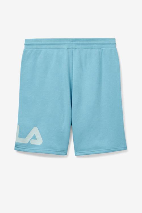 Fila Zeshawn Miesten Shortsit Sininen | Fila963HP